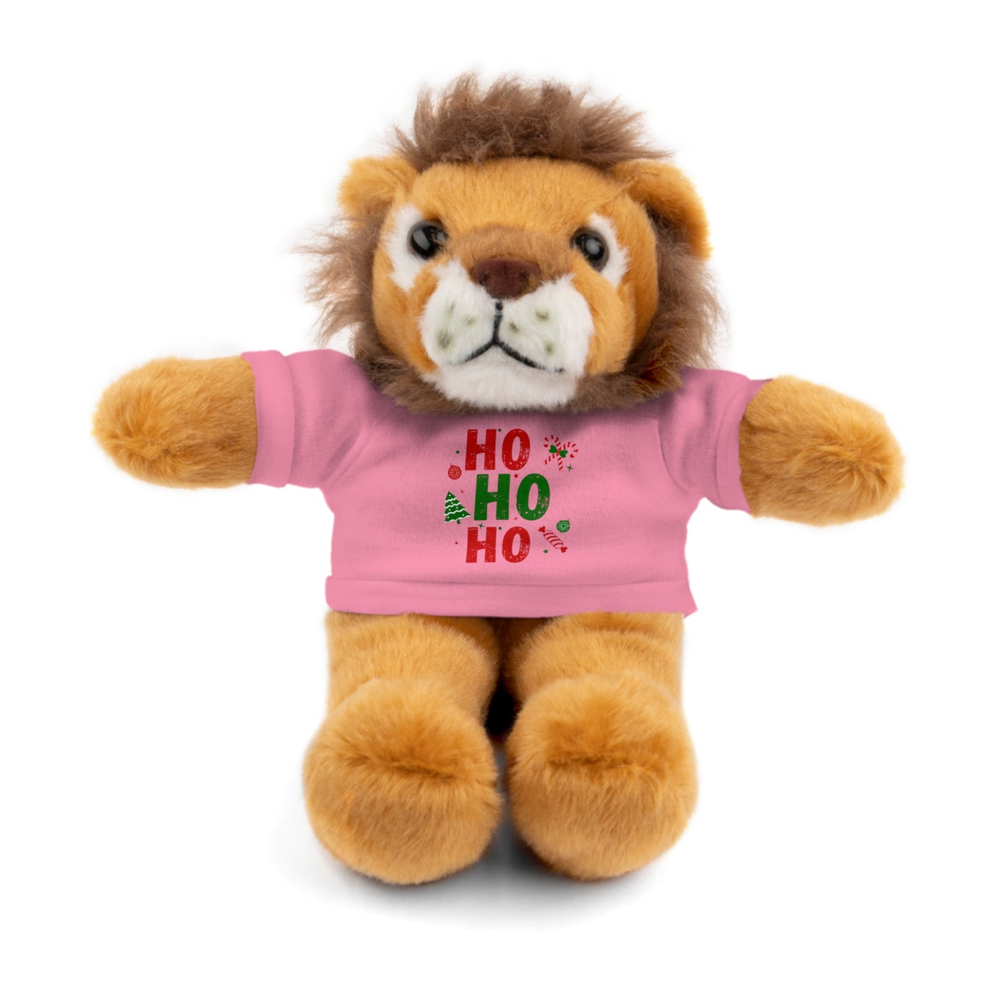 Christmas Teddy Bear with 'HO HO HO' Tee